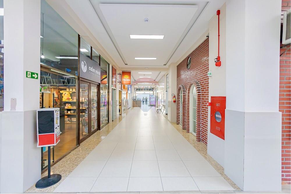 Apartamento - Venda - Curitiba , Paraná - IMG_4033.jpg - 560321090-48