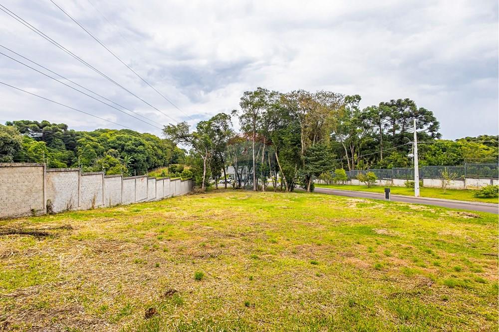 Terreno - Venda - Curitiba , Paraná - SHEEP - IMG_2556_1.jpg - 560341101-20