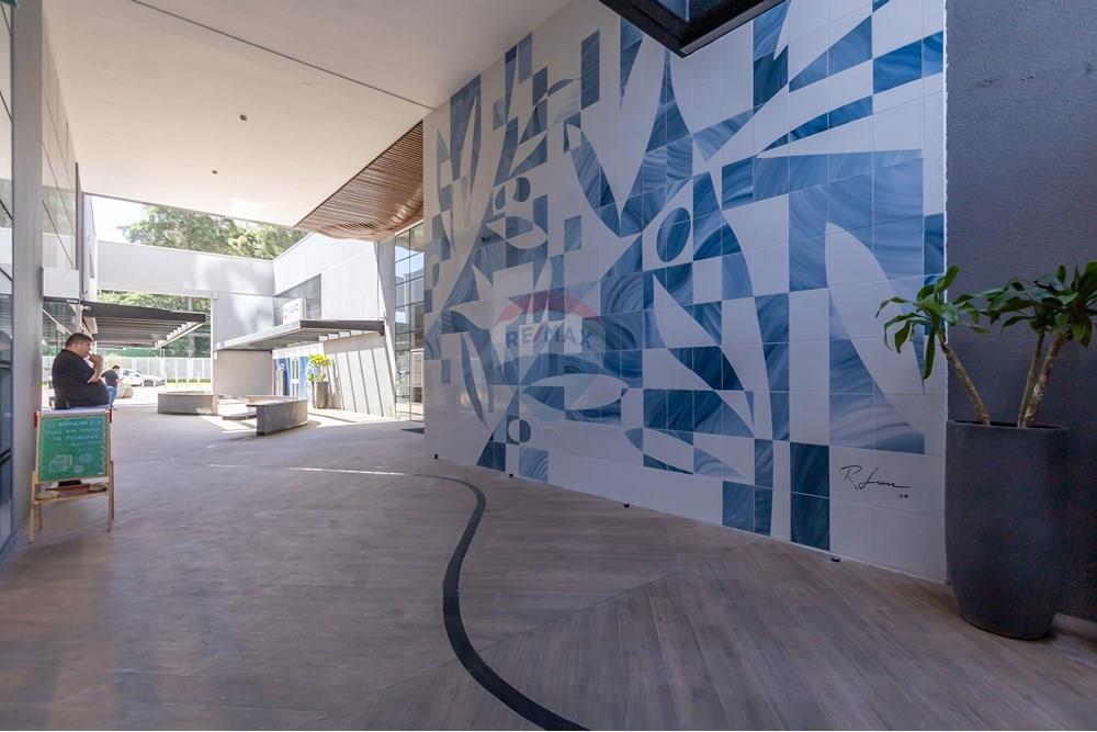 Cj. Comercial/ Sala - Alugar - Curitiba , Paraná - IMG_1854.jpg - 560311047-534