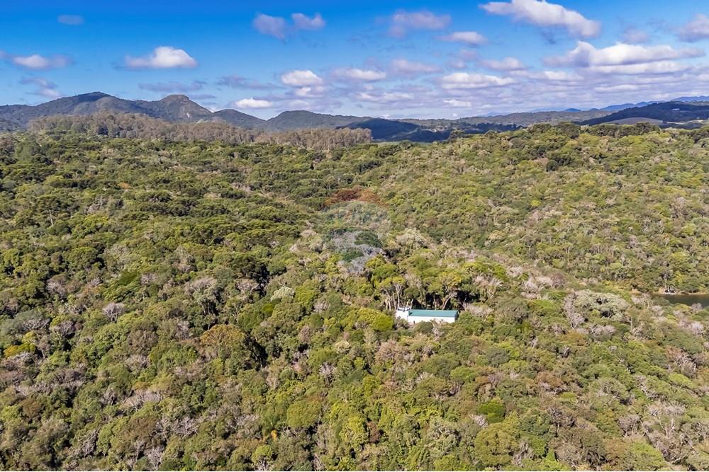 Chácara / Sítio / Fazenda - Venda - Piraquara , Paraná - DJI_0503_1.jpg - 560431012-39