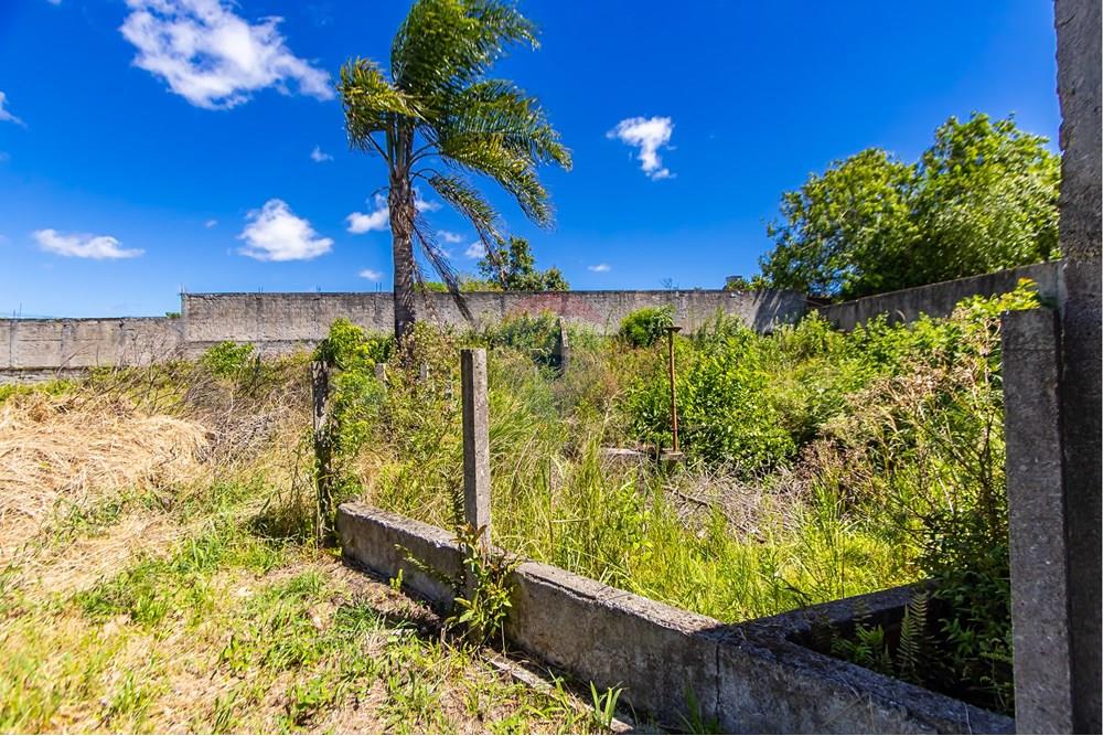 Terreno - Venda - São José dos Pinhais , Paraná - IMG_7258.JPG - 560391051-19