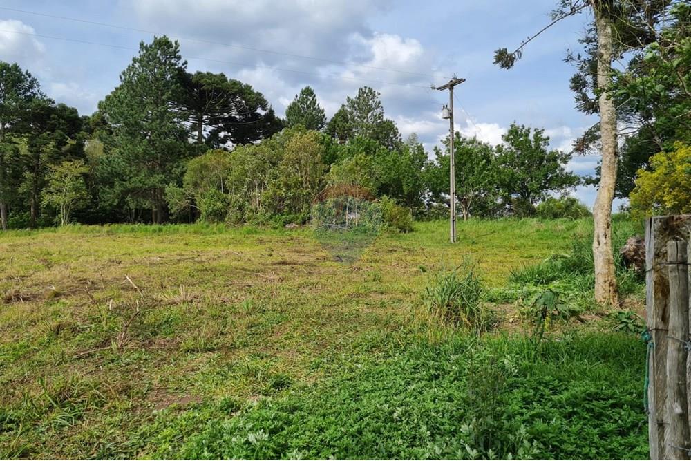 Chácara / Sítio / Fazenda - Venda - São José dos Pinhais , Paraná - a4f2a9b9-009b-4709-a311-669a9ce7c50c.jpeg - 560331128-24