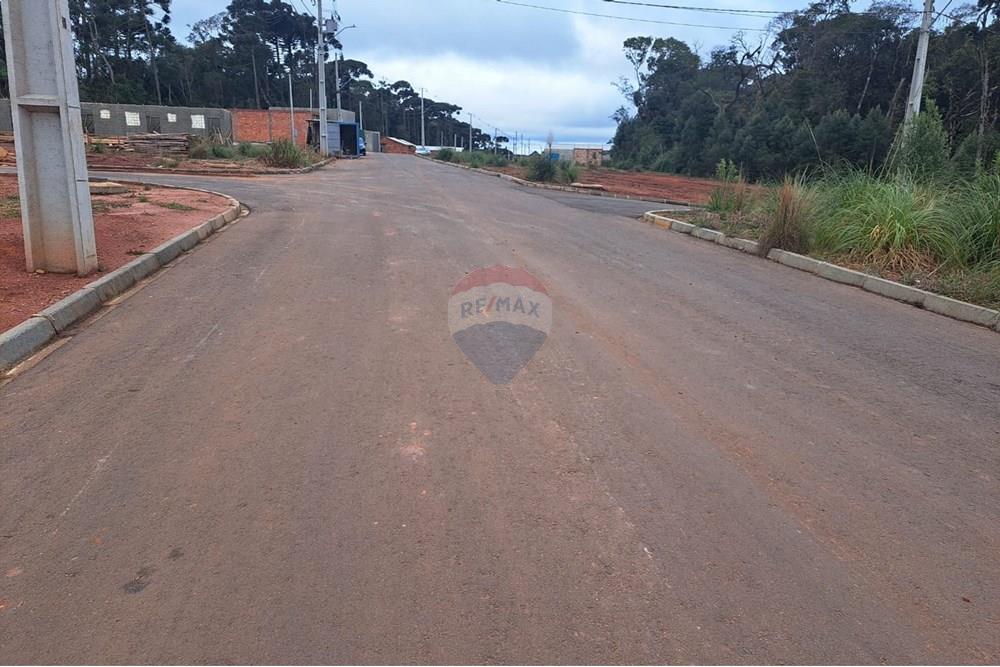 Terreno - Venda - Fazenda Rio Grande , Paraná - WhatsApp Image 2025-08-29 at 19.18.52 (1).jpeg - 560441032-9