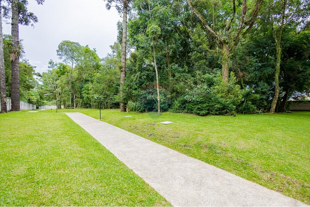 Apartamento - Venda - Pinhais , Paraná - 37.jpg - 560351107-11