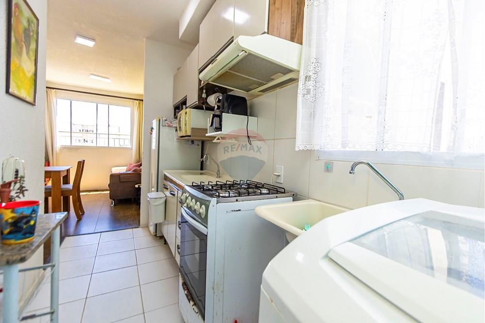 Apartamento - Venda - São José dos Pinhais , Paraná - Fotografia Sheep House - IMG_9632_1.jpg - 560441026-16