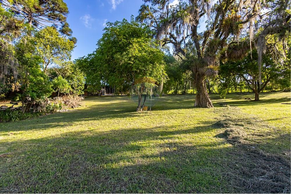 Terreno - Venda - Colombo , Paraná - IMG_9259.jpg - 560321090-43