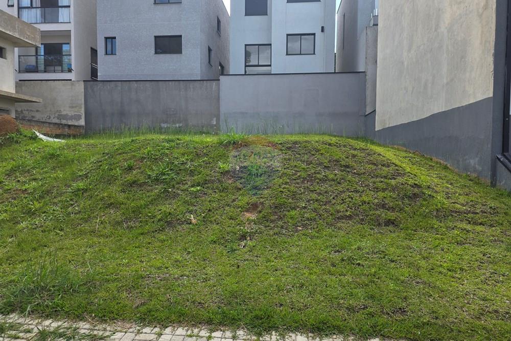 Terreno - Venda - Curitiba , Paraná - 20260212_162816.jpg - 560501001-16