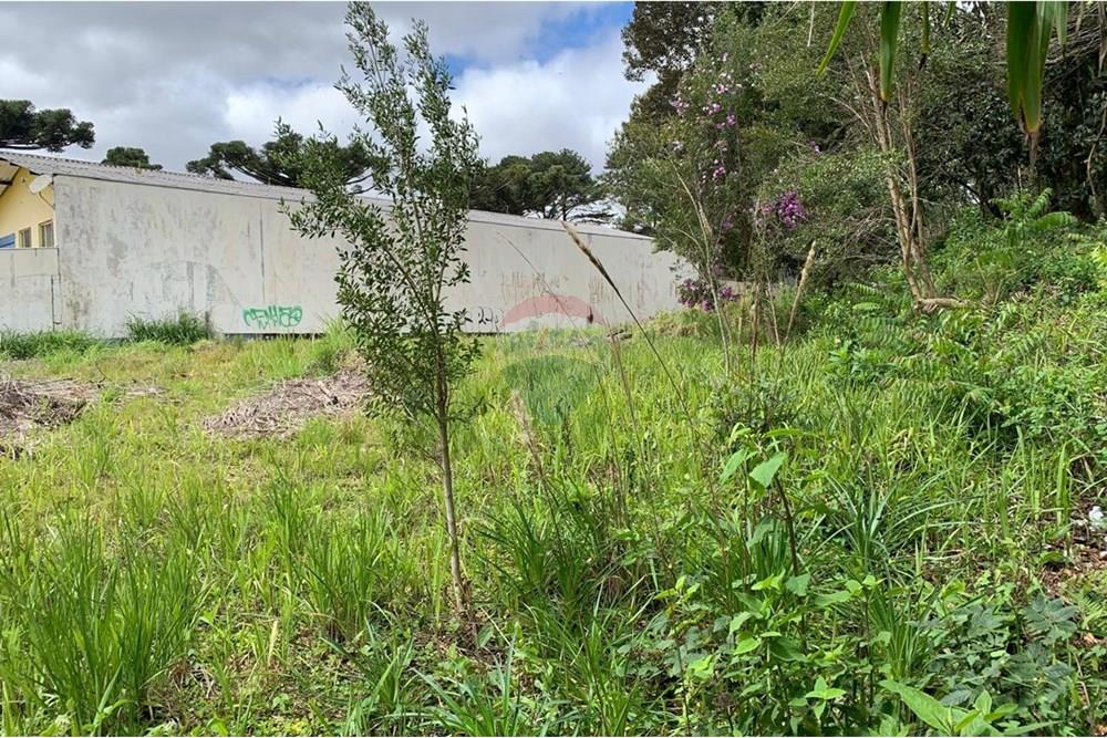 Terreno - Venda - Curitiba , Paraná - 17.jpg - 560461019-13