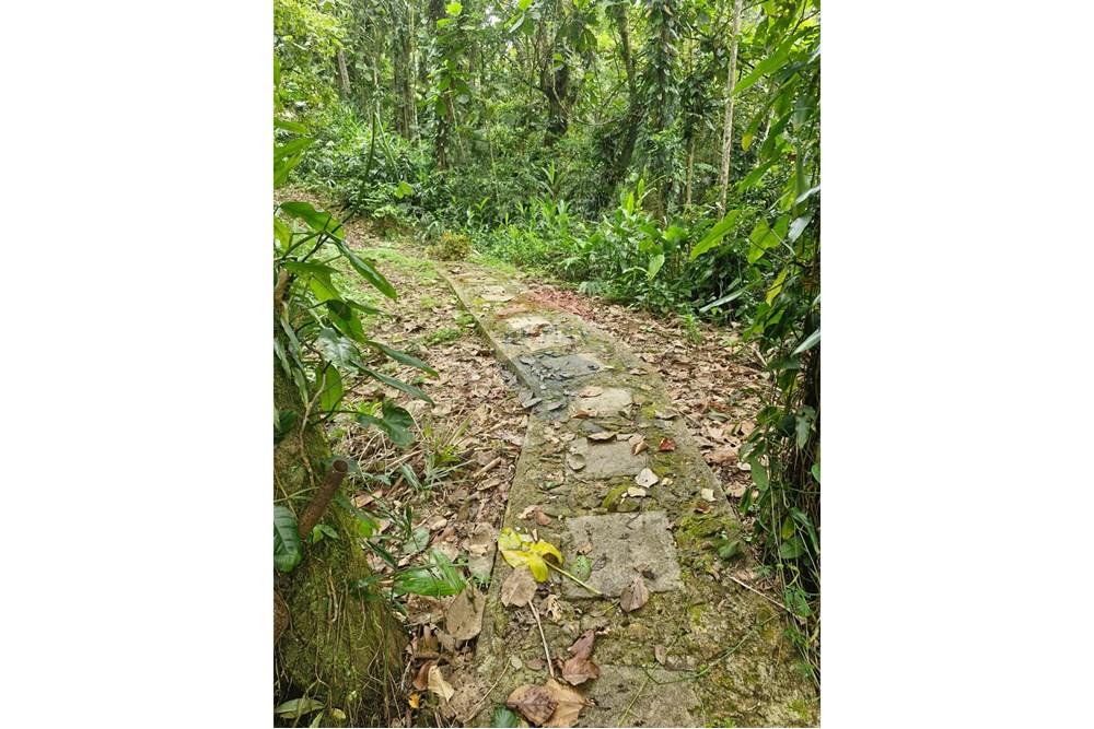 Chácara / Sítio / Fazenda - Venda - Guaratuba , Paraná - IMG-20251026-WA0035.jpg - 560321090-38