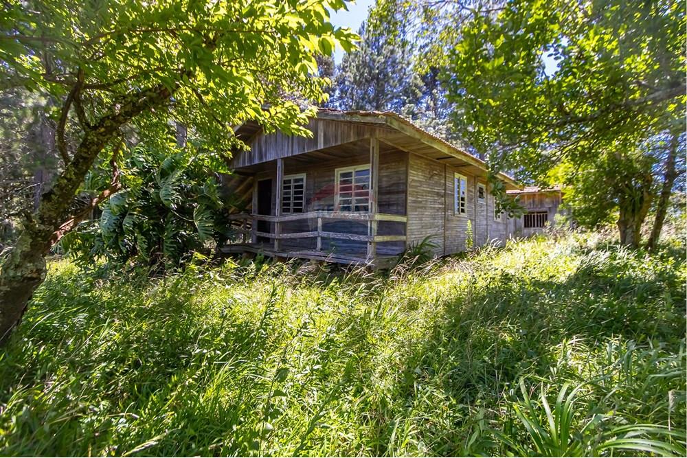 Chácara / Sítio / Fazenda - Venda - São José dos Pinhais , Paraná - IMG_7278.JPG - 560331128-24