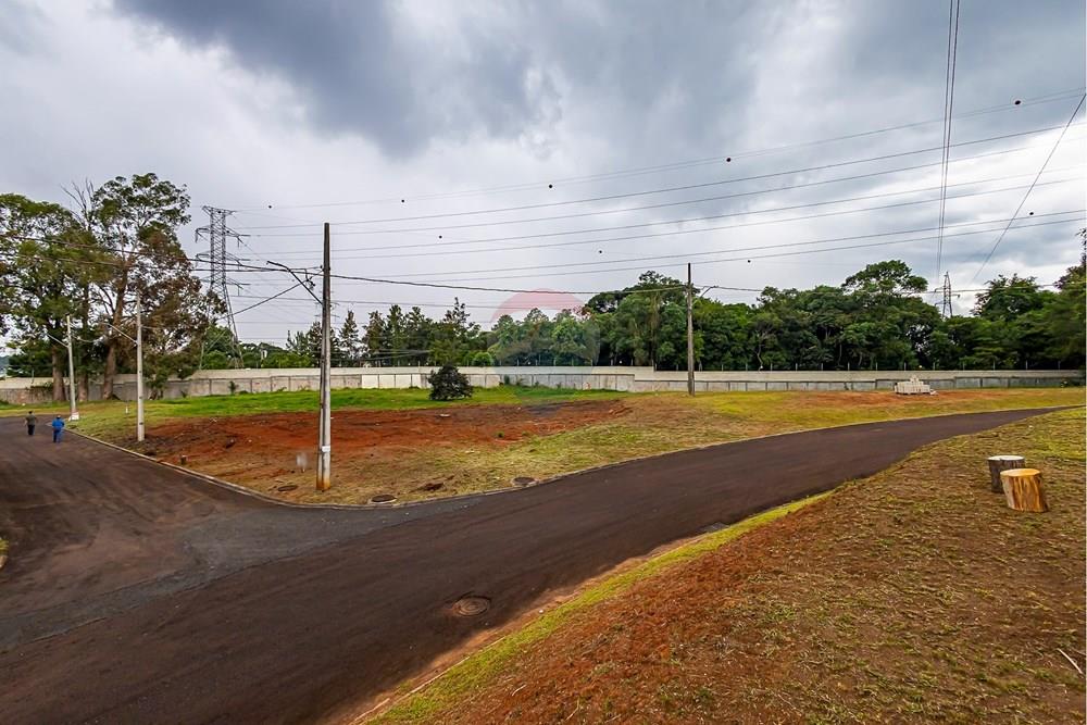 Terreno - Venda - Curitiba , Paraná - sheep - IMG_2568_1.jpg - 560341101-21