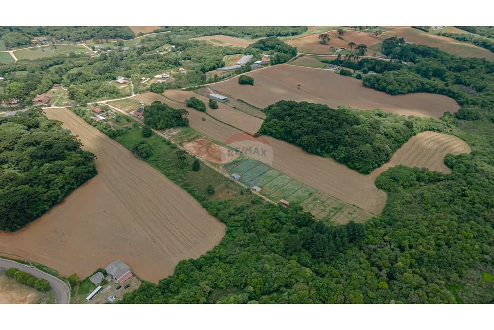 Chácara / Sítio / Fazenda - Venda - Campo Magro , Paraná - Rua Guarapuava (João Alex) 356-74.jpg - 560331069-78