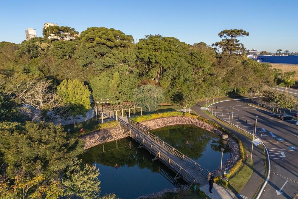 Terreno - Venda - Pinhais , Paraná - DJI_20250625165535_0495_D.jpg - 560511007-5