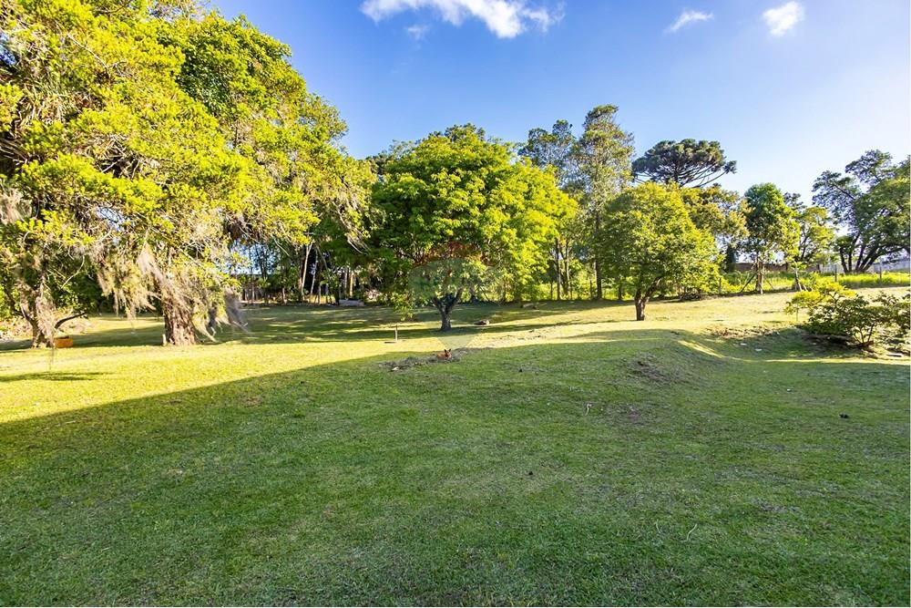 Terreno - Venda - Colombo , Paraná - IMG_9263_1.jpg - 560321090-43