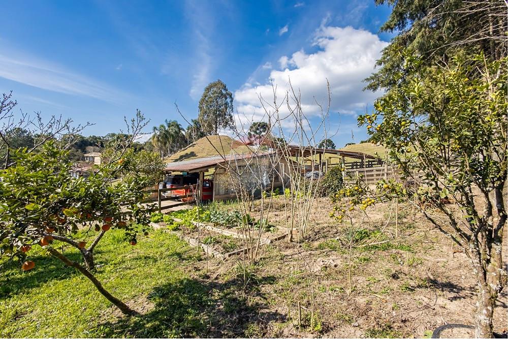 Chácara / Sítio / Fazenda - Venda - Campo Largo , Paraná - F (26).jpg - 560351150-1