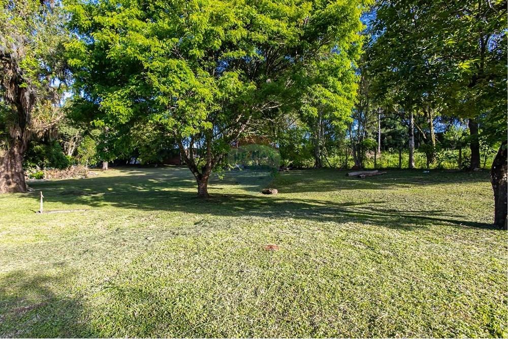 Terreno - Venda - Colombo , Paraná - IMG_9265.jpg - 560321090-43