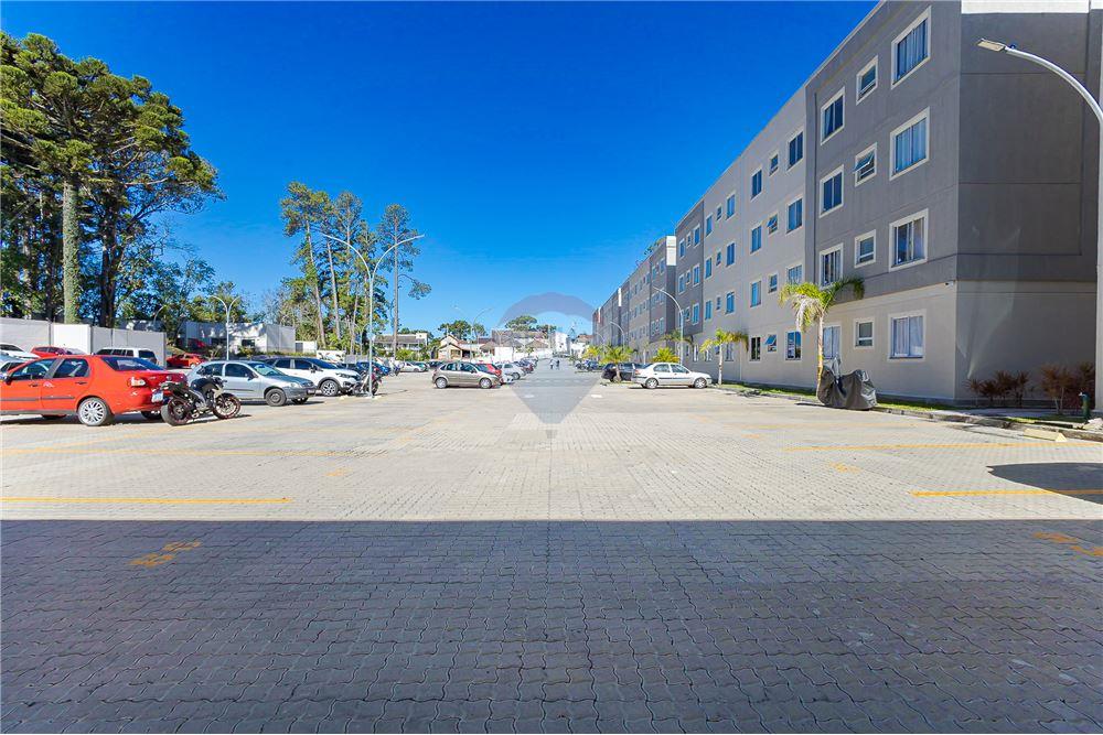 Apartamento - Venda - Curitiba , Paraná - 26 - 560351004-84