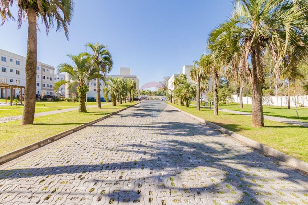 Apartamento - Venda - São José dos Pinhais , Paraná - IMG_9308.jpeg - 560331022-68