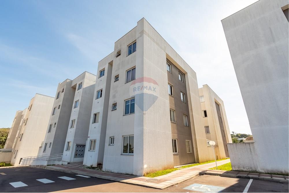 Apartamento - Venda - São José dos Pinhais , Paraná - IMG_6339.jpg - 560431004-33