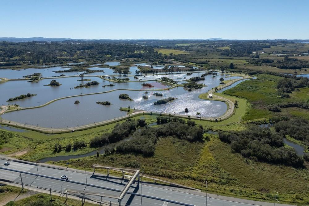 Terreno - Venda - Pinhais , Paraná - 0118- Rodovia João Leopoldo Jacomel e Parque das Águas - Zig Koch.jpg - 560511007-5