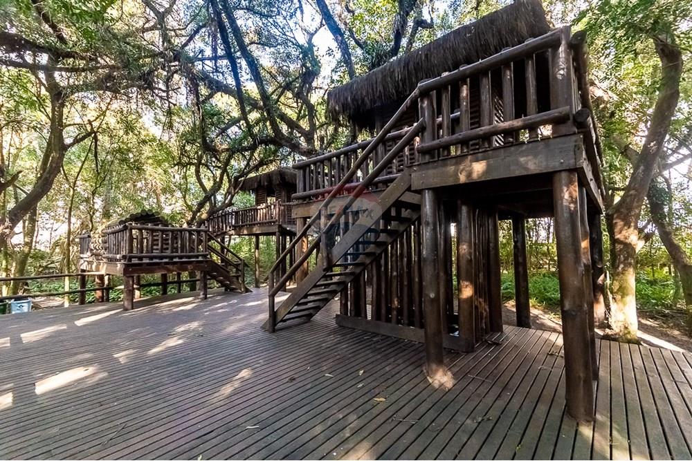 Apartamento - Alugar - Curitiba , Paraná - ProfPedroVPdeSouza-76.jpg - 560311047-548