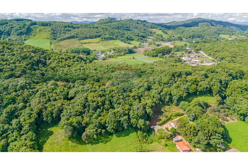 Terreno - Venda - Colombo , Paraná - DJI_20250317145856_0130_D.jpg - 560391062-11