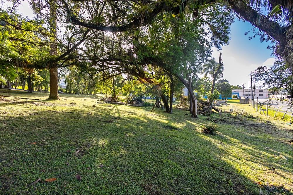 Terreno - Venda - Colombo , Paraná - IMG_9243.jpg - 560321090-43