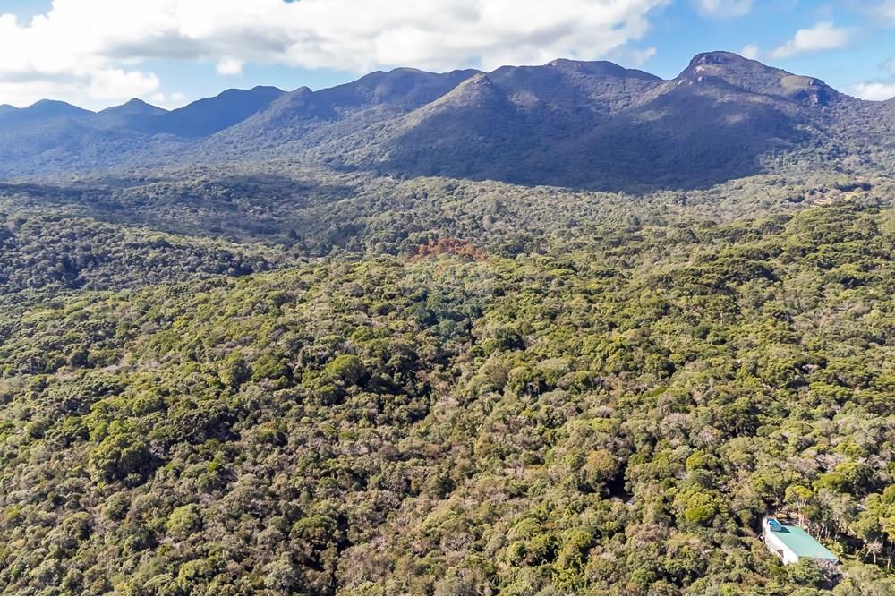 Chácara / Sítio / Fazenda - Venda - Piraquara , Paraná - DJI_0470_1.jpg - 560431012-39