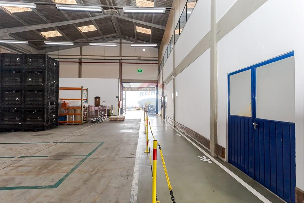 Galpão - Alugar - Curitiba , Paraná - IMG_2163.jpg - 560251029-57