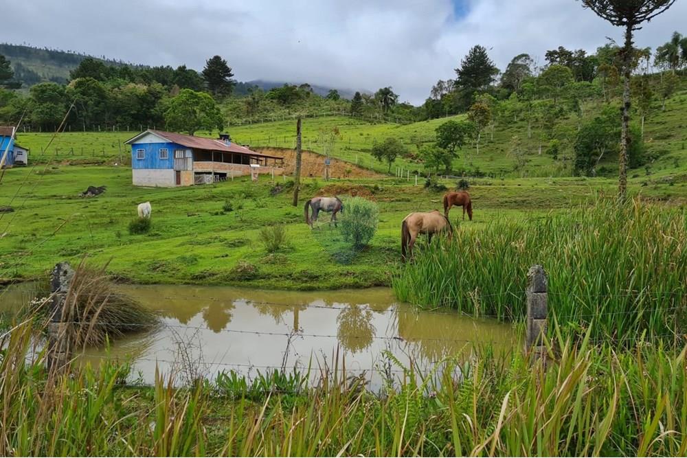 Chácara / Sítio / Fazenda - Venda - Tijucas do Sul , Paraná - f654aeee-1843-4006-81ce-b0c62033fd87.jpeg - 560391051-16