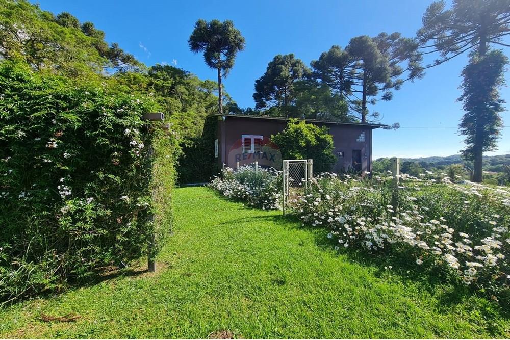 Casa Comercial - Alugar - São José dos Pinhais , Paraná - b8103c28-ffd2-4875-b412-61254471a420.jpeg - 560331128-18