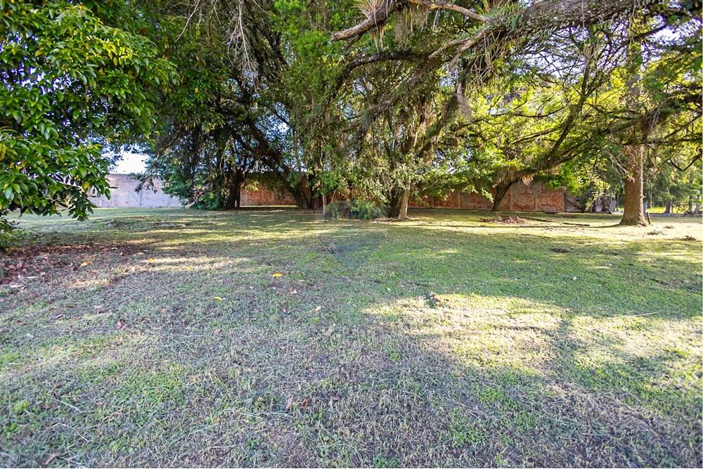 Terreno - Venda - Colombo , Paraná - IMG_9246.jpg - 560321090-43