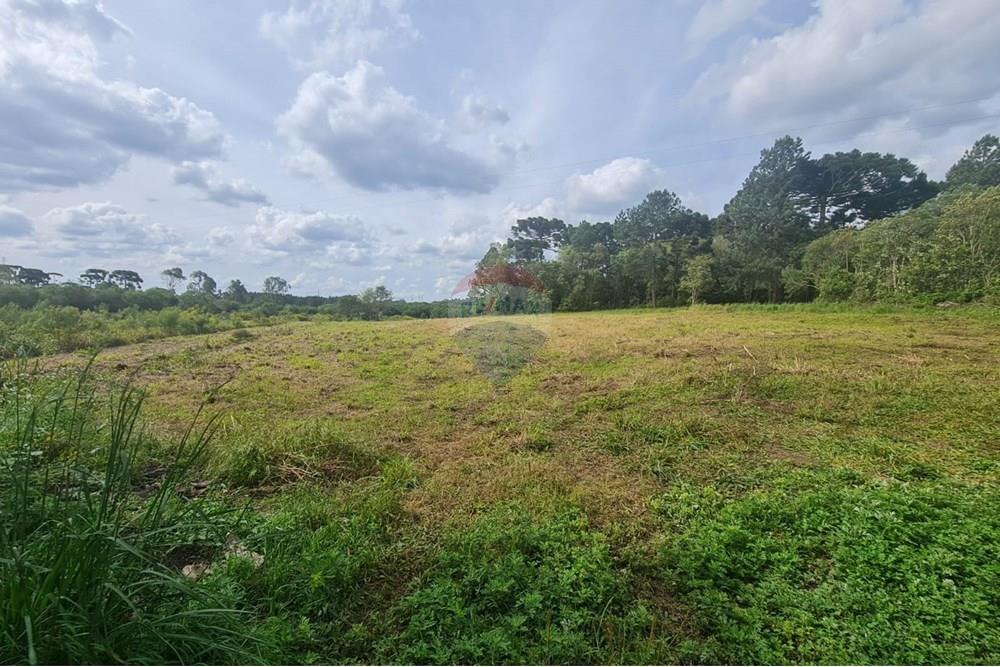 Chácara / Sítio / Fazenda - Venda - São José dos Pinhais , Paraná - bf4d7d39-b284-40f5-9829-c36c05a94ac7.jpeg - 560331128-24