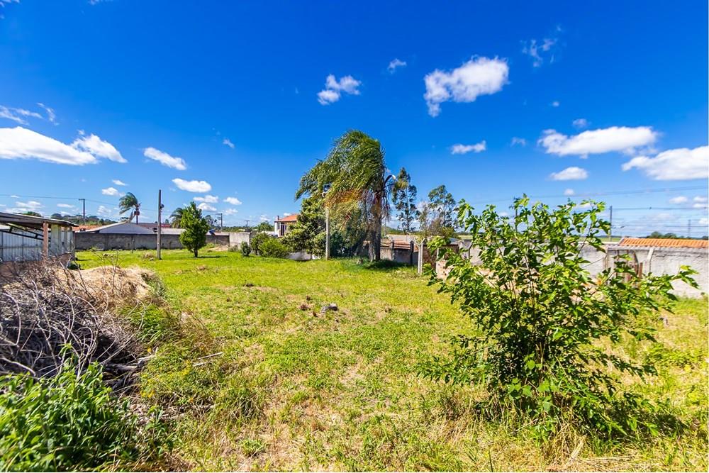 Terreno - Venda - São José dos Pinhais , Paraná - IMG_7262.JPG - 560391051-19