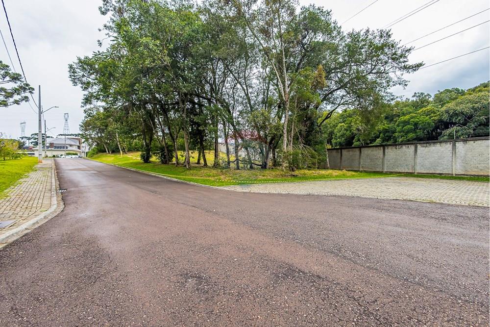 Terreno - Venda - Curitiba , Paraná - SHEEP - IMG_2547_1.jpg - 560341101-20