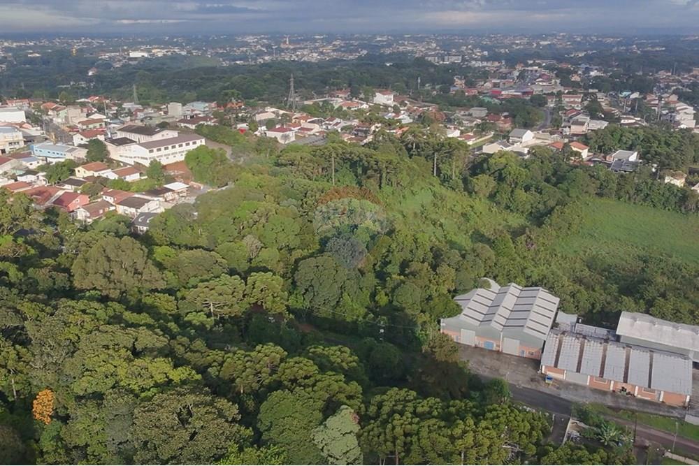 Жилищен - Поземлен имот - Curitiba , Paraná - BR - IMG-20250407-WA0021.jpg - 560321151-1