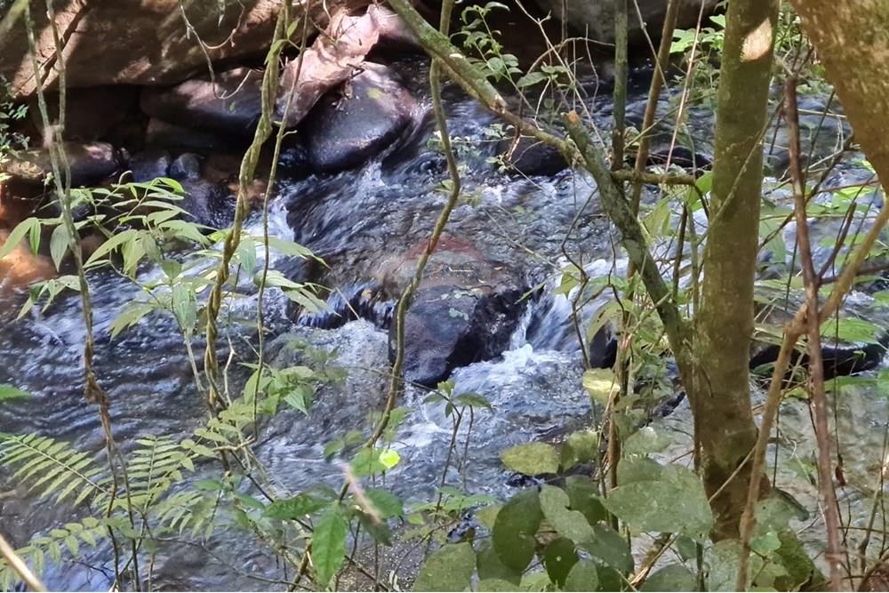 Chácara / Sítio / Fazenda - Venda - Tijucas do Sul , Paraná - ede9c9a9-ff6d-4224-a061-0a40b52f13de.jpeg - 560391051-20