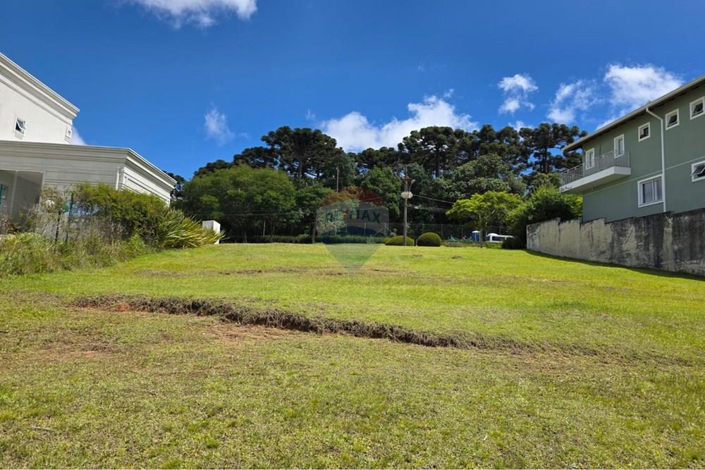 Terreno - Venda - Pinhais , Paraná - WhatsApp Image 2026-01-29 at 09.04.41 (9).jpeg - 560501018-2