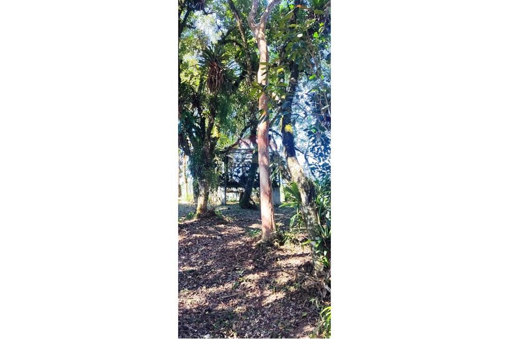 Chácara / Sítio / Fazenda - Venda - São José dos Pinhais , Paraná - 32.jpeg - 560331080-8