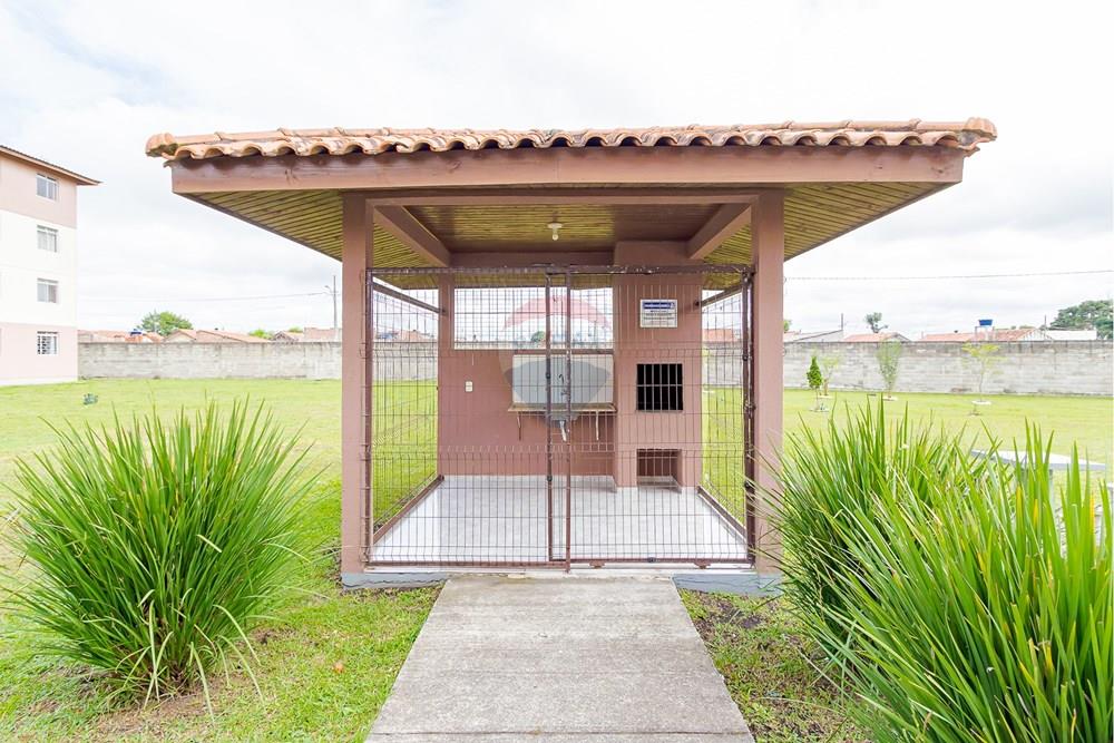 Apartamento - Venda - São José dos Pinhais , Paraná - IMG_2415.jpg - 560411027-37