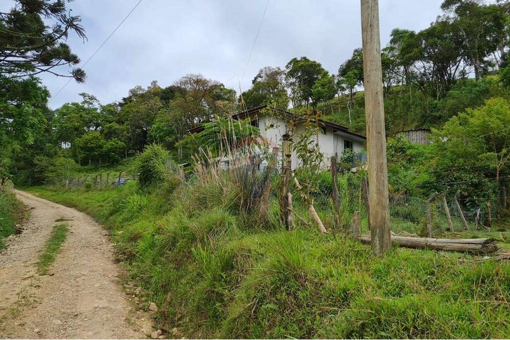 Chácara / Sítio / Fazenda - Venda - Tijucas do Sul , Paraná - ec73d25e-5914-4c30-bcd3-3e7ba44548a6.jpeg - 560391051-16