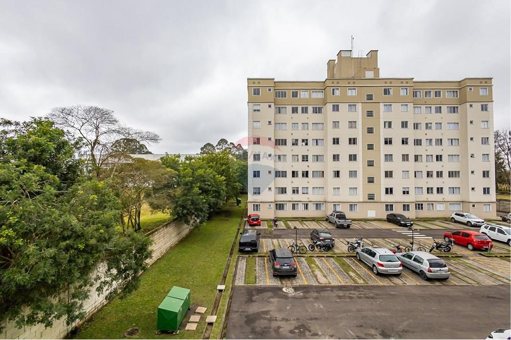 Apartamento - Venda - Pinhais , Paraná - 16.jpg - 560351107-11
