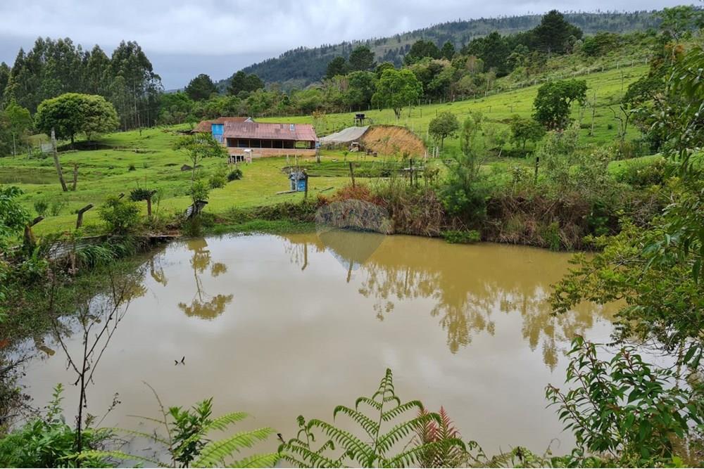 Chácara / Sítio / Fazenda - Venda - Tijucas do Sul , Paraná - d7aeb2a3-d212-4e40-8798-af74d5b38533.jpeg - 560391051-16