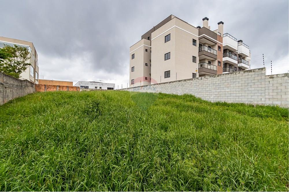 Terreno - Venda - Pinhais , Paraná - IMG_4907.jpg - 560311065-16