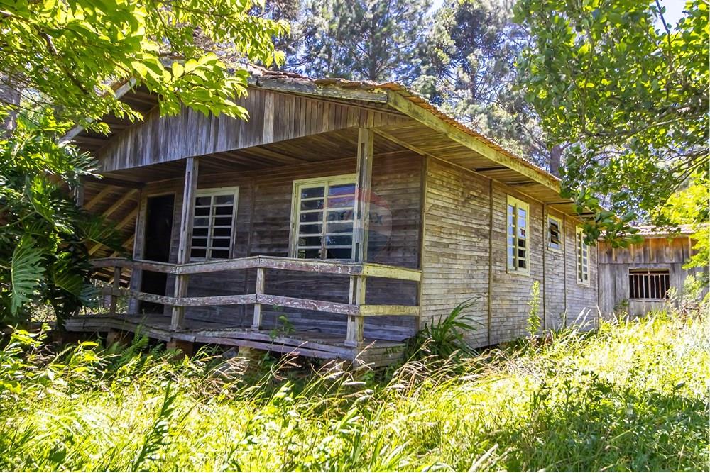 Chácara / Sítio / Fazenda - Venda - São José dos Pinhais , Paraná - IMG_7279.JPG - 560331128-24