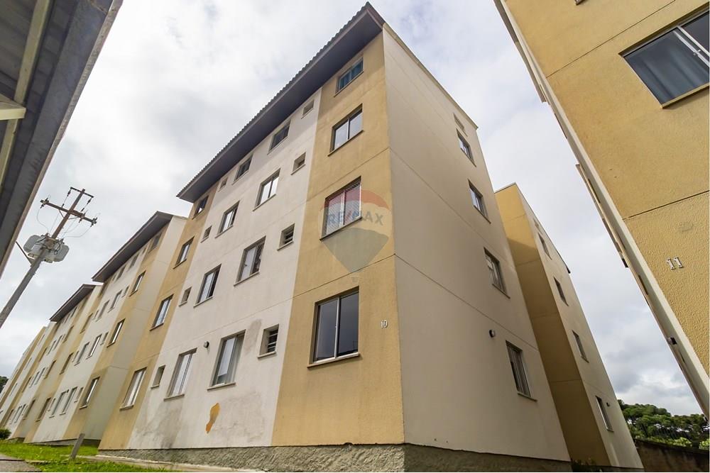 Apartamento - Venda - São José dos Pinhais , Paraná - IMG_4681.jpg - 560471003-11