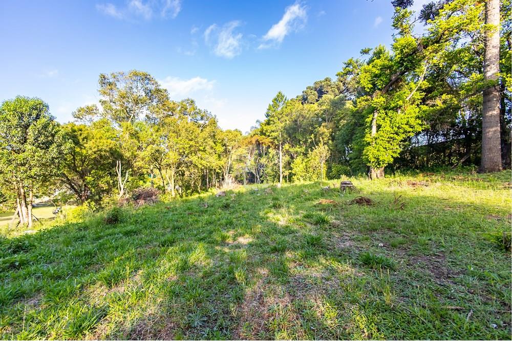 Terreno - Venda - Colombo , Paraná - IMG_9317.jpg - 560321090-43