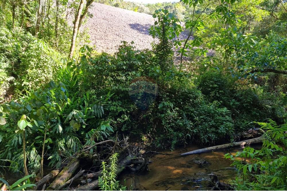 Chácara / Sítio / Fazenda - Venda - Tijucas do Sul , Paraná - 3d63a476-8f90-450c-bab3-8e2254e54a69.jpeg - 560391051-20