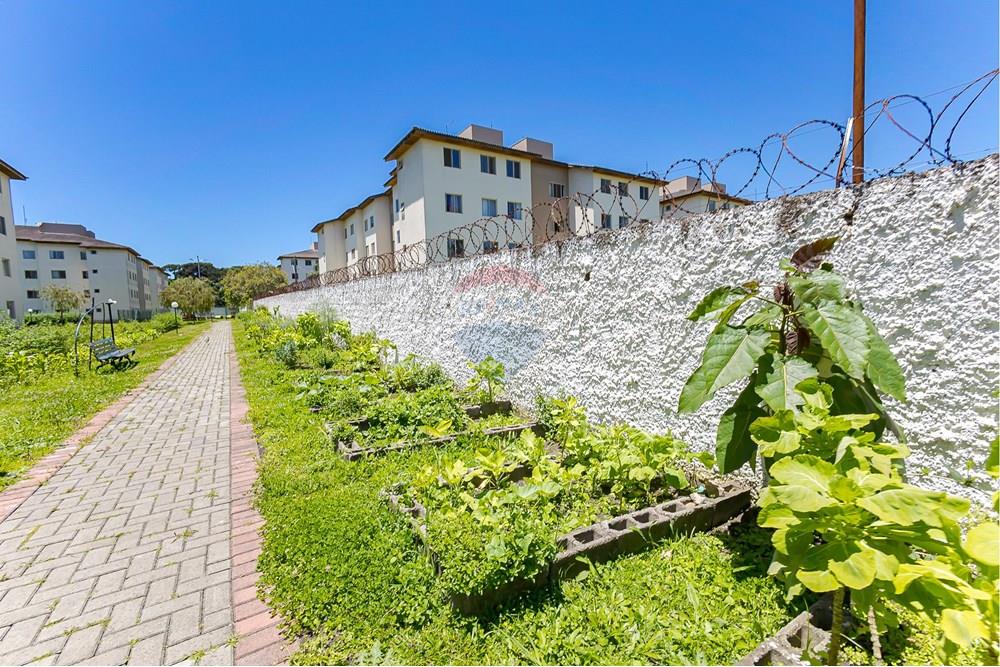 Apartamento - Venda - São José dos Pinhais , Paraná - IMG_0083.jpg - 560351119-27