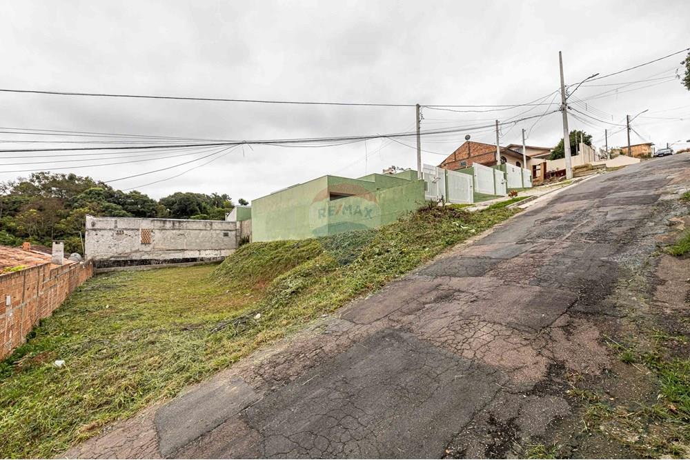 Terreno - Venda - Curitiba , Paraná - IMG_1744.jpg - 560431033-7